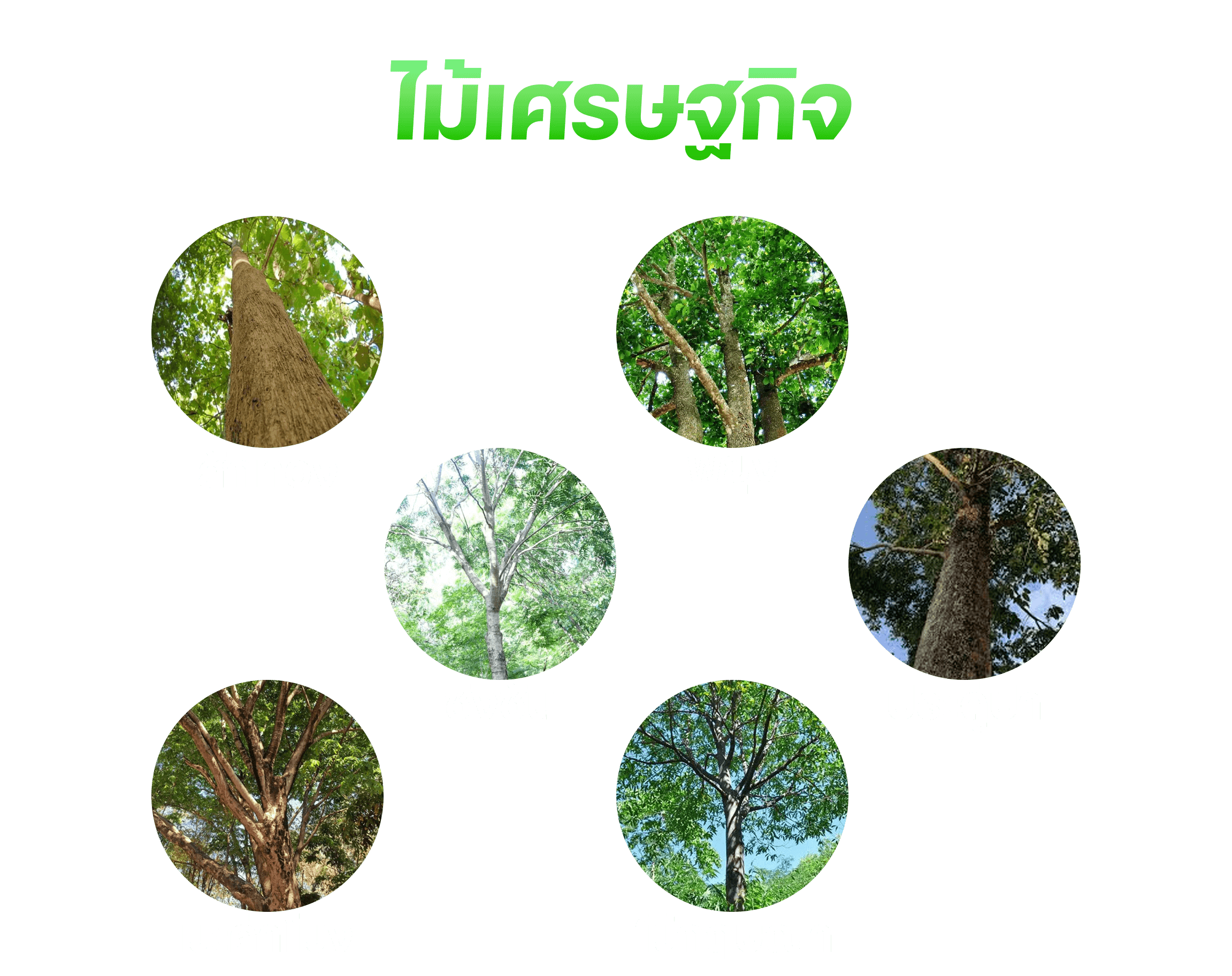 ภาพโครงการ 1